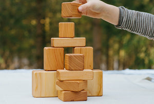 wooden blocks - the apprentice