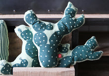 Cactus cushion